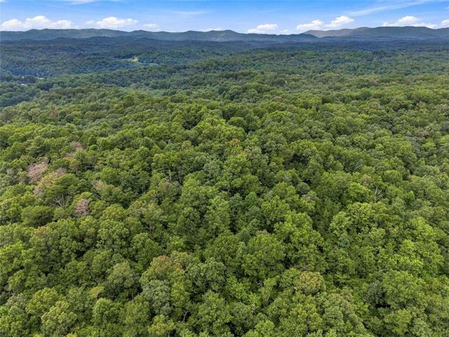 LOT 58 Red Bud Lane, Ellijay, GA 30540
