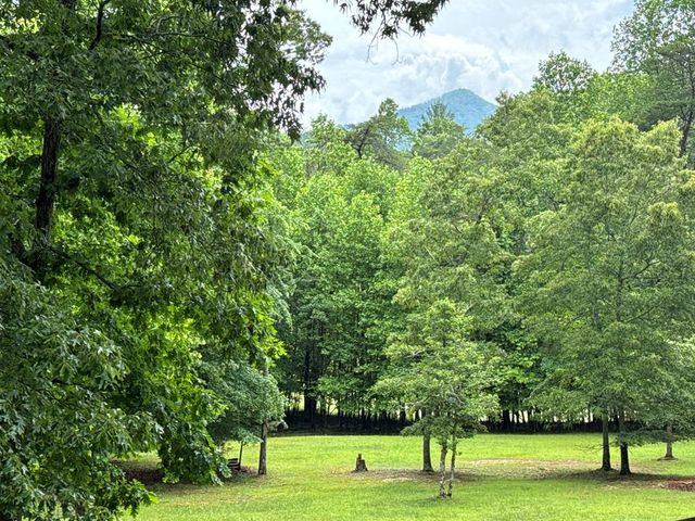 28 Rothgeb Ridge Road, Blairsville, GA 30512