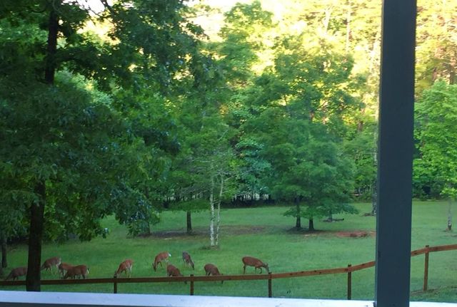 28 Rothgeb Ridge Road, Blairsville, GA 30512