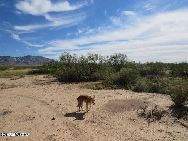 Three Triangle Ranches Lot 37 41 Acr, Portal, AZ 85632
