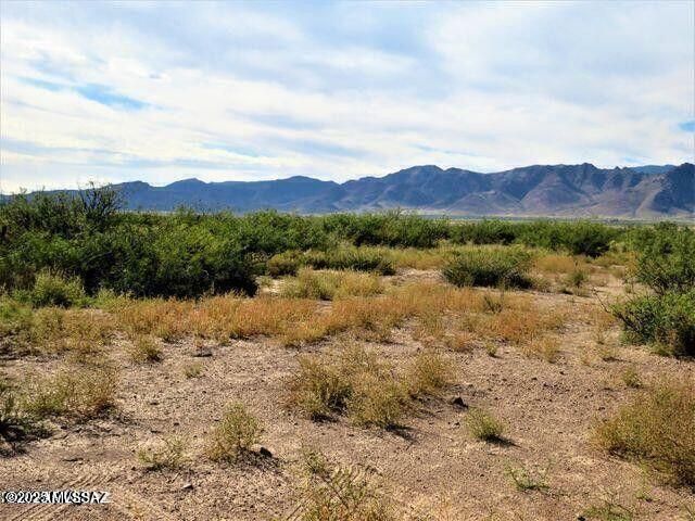 Three Triangle Ranches Lot 37 41 Acr, Portal, AZ 85632