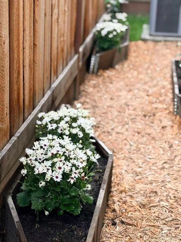 217 Athena Court, Mountain View, CA 94043