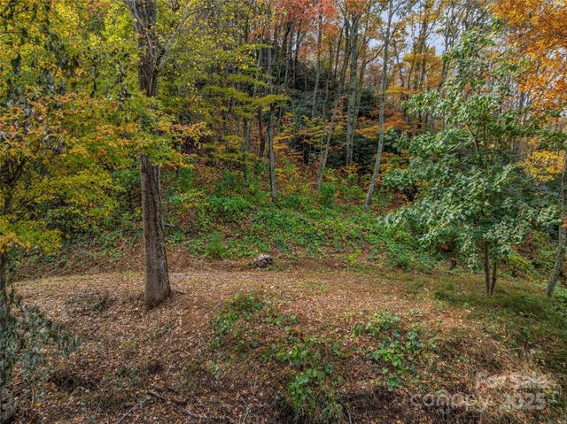 45 Flora Rose Trail, Asheville, NC 28803