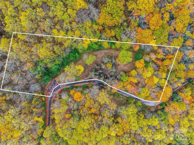 45 Flora Rose Trail, Asheville, NC 28803