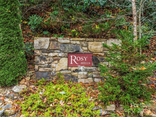 45 Flora Rose Trail, Asheville, NC 28803