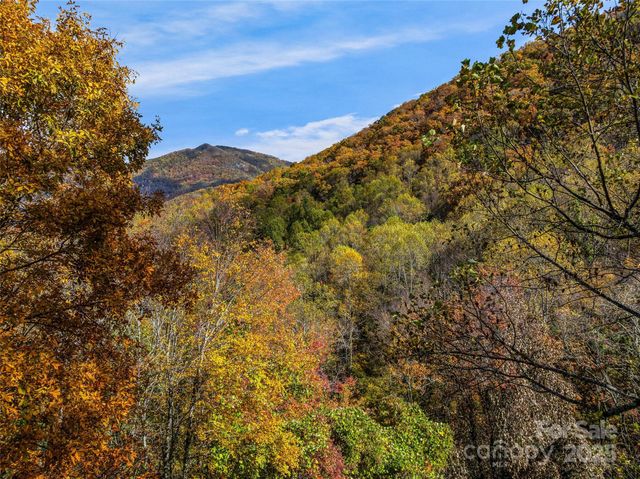 45 Flora Rose Trail, Asheville, NC 28803