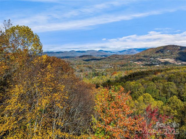 45 Flora Rose Trail, Asheville, NC 28803