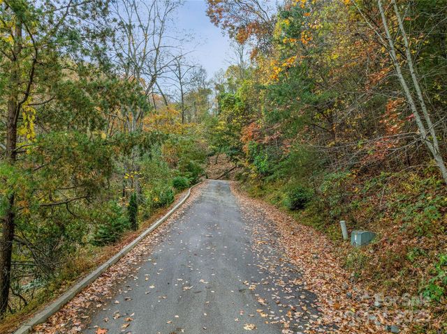 45 Flora Rose Trail, Asheville, NC 28803
