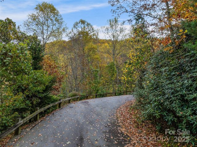 45 Flora Rose Trail, Asheville, NC 28803