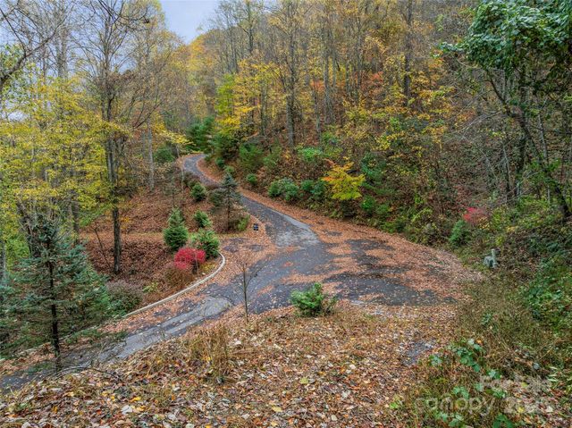 45 Flora Rose Trail, Asheville, NC 28803