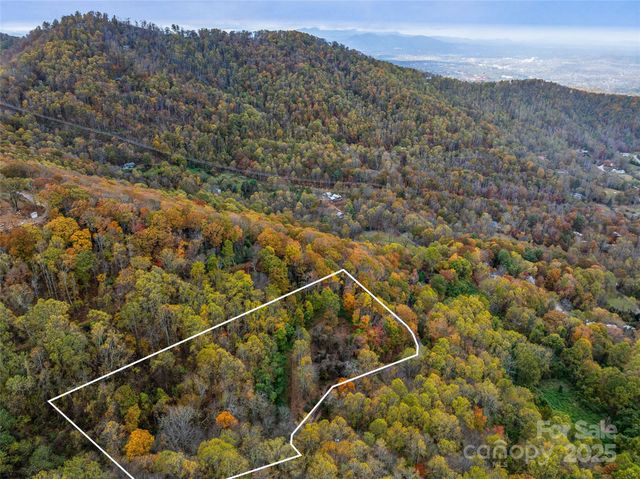 45 Flora Rose Trail, Asheville, NC 28803