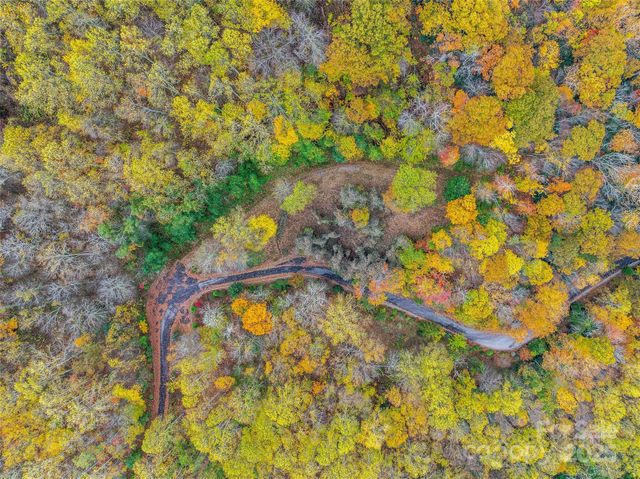 45 Flora Rose Trail, Asheville, NC 28803