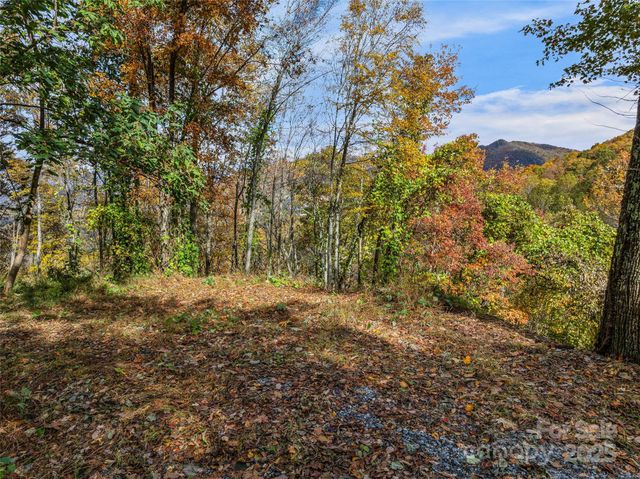 45 Flora Rose Trail, Asheville, NC 28803