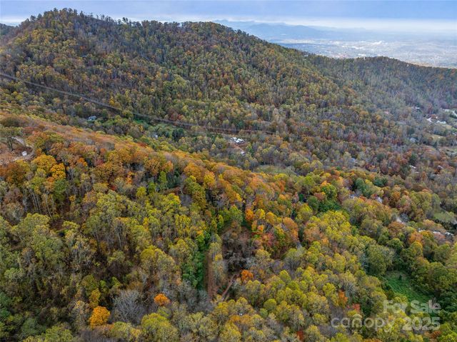 45 Flora Rose Trail, Asheville, NC 28803