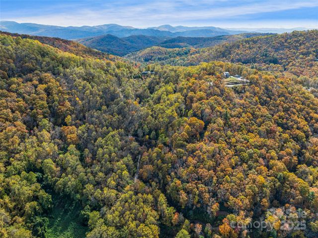 45 Flora Rose Trail, Asheville, NC 28803