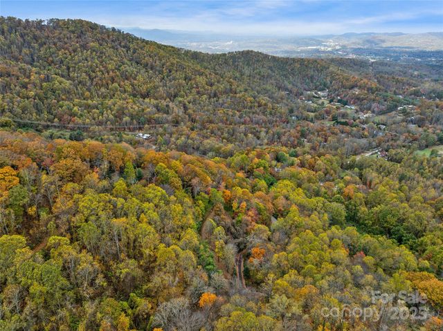 45 Flora Rose Trail, Asheville, NC 28803
