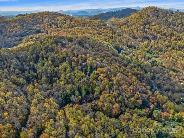 45 Flora Rose Trail, Asheville, NC 28803