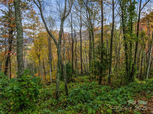 45 Flora Rose Trail, Asheville, NC 28803