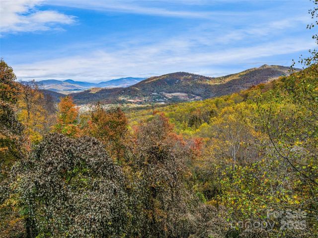 45 Flora Rose Trail, Asheville, NC 28803