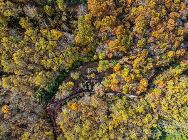 45 Flora Rose Trail, Asheville, NC 28803