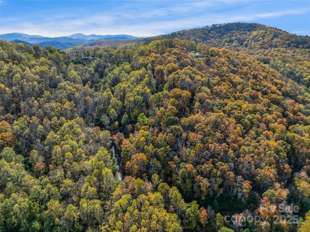 45 Flora Rose Trail, Asheville, NC 28803