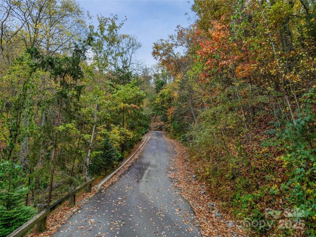 45 Flora Rose Trail, Asheville, NC 28803