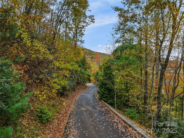 45 Flora Rose Trail, Asheville, NC 28803