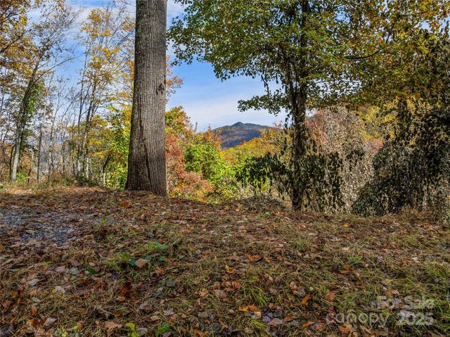 45 Flora Rose Trail, Asheville, NC 28803