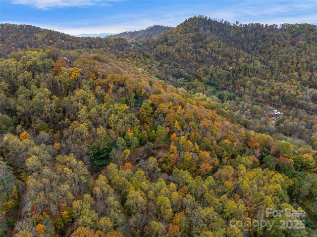 45 Flora Rose Trail, Asheville, NC 28803