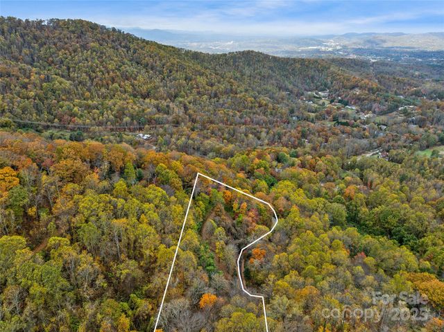 45 Flora Rose Trail, Asheville, NC 28803