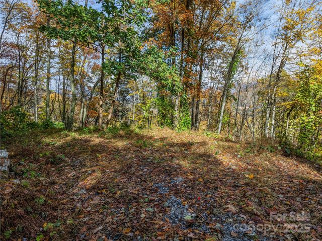 45 Flora Rose Trail, Asheville, NC 28803