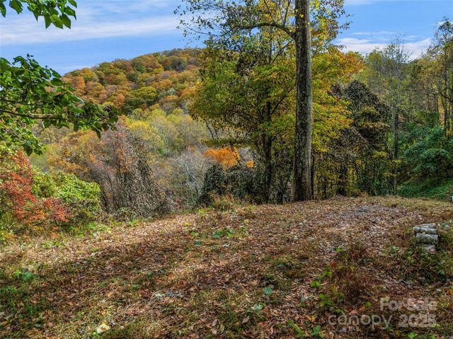 45 Flora Rose Trail, Asheville, NC 28803