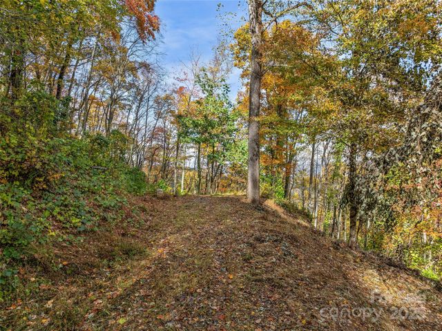 45 Flora Rose Trail, Asheville, NC 28803