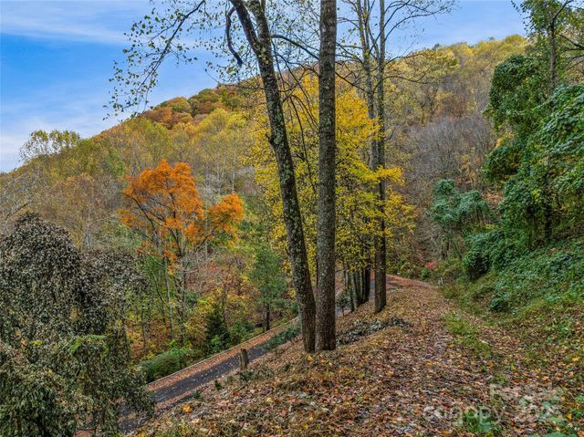 45 Flora Rose Trail, Asheville, NC 28803
