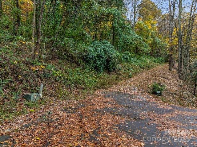 45 Flora Rose Trail, Asheville, NC 28803