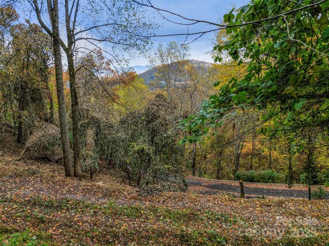 45 Flora Rose Trail, Asheville, NC 28803