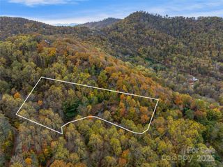45 Flora Rose Trail, Asheville, NC 28803