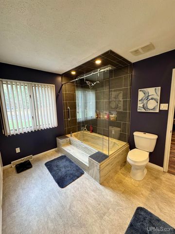 828 N Horseshoe Lake Drive, Gwinn, MI 49841