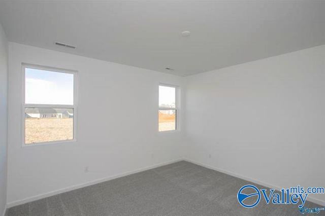 157 Jude Lane, Hazel Green, AL 35750