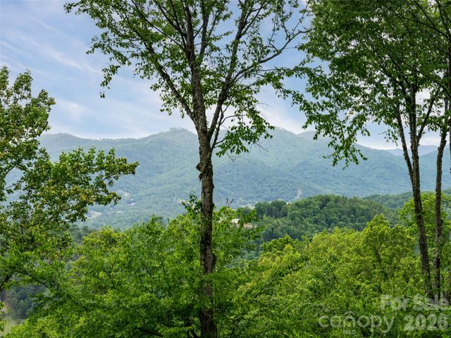 29 Elk Ridge Drive, Asheville, NC 28804