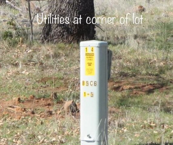 Battleview Dr, Manton, CA 96059