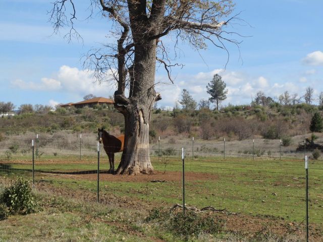 Battleview Dr, Manton, CA 96059