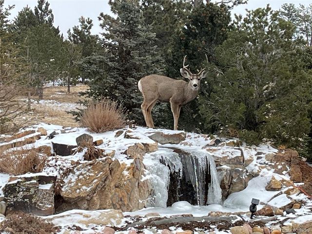 7520 Lost Lake Drive, Franktown, CO 80116