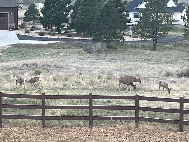 7520 Lost Lake Drive, Franktown, CO 80116