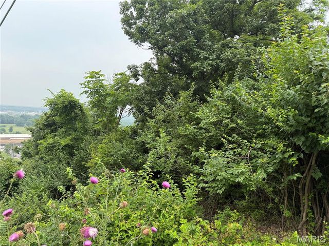 13010 Big Bend Road, St Louis, MO 63122