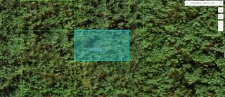 COMMONWEALLTH AVE N, Polk City, FL 33868