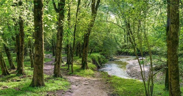 105 Floss flower Court, Roswell, GA 30076