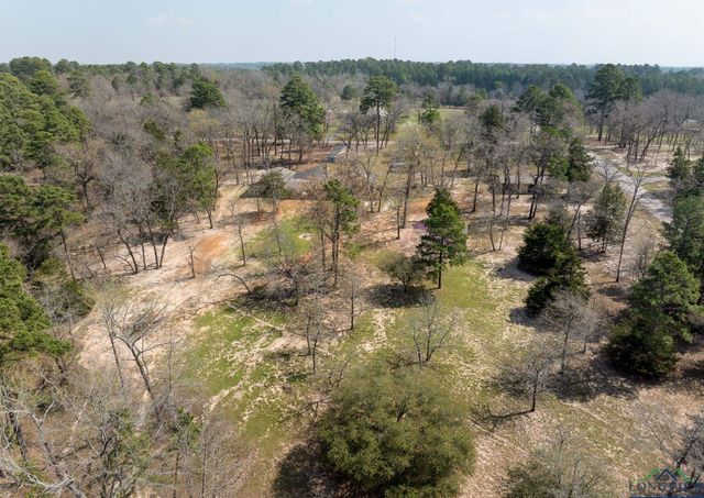 230 ACR 3191 ACR 3191, Frankston, TX 75763