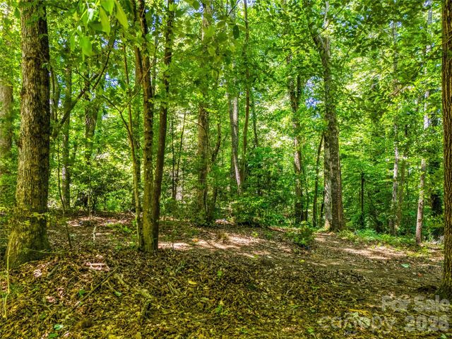 70 Promised Ridge Drive, Hendersonville, NC 28791