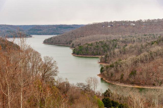 42 Deer Path Court, Smithville, TN 37166